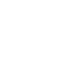041 organo