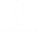 065 telecom-egypt