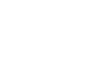 070 borg